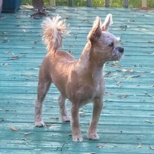 Meet your Posher, Linda